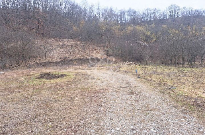 Teren Intravilan de vanzare LUGASU DE JOS - Bihor anunturi imobiliare Bihor