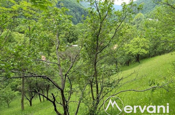 Teren Intravilan de vanzare COMARNIC - Prahova anunturi imobiliare Prahova