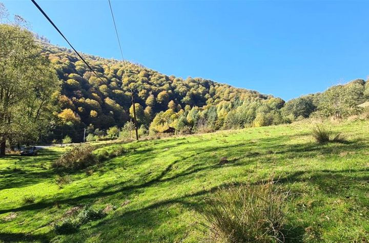 Teren de vanzare RAU SADULUI - Sibiu anunturi imobiliare Sibiu