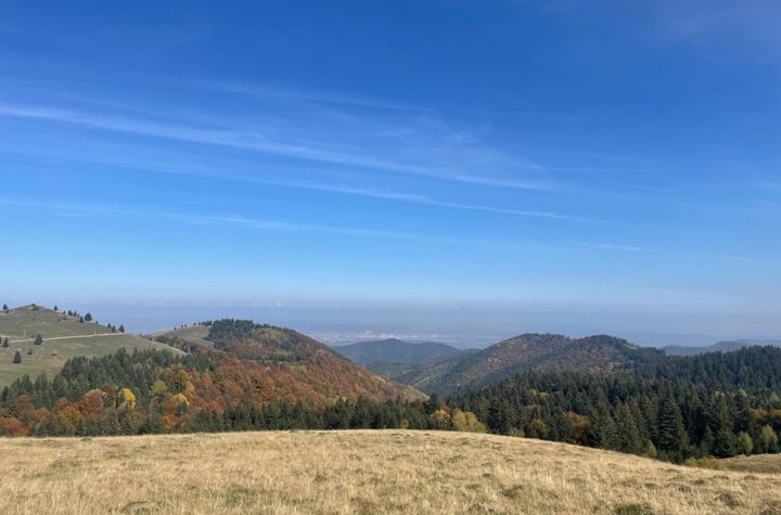 Teren de vanzare PALTINIS - Sibiu anunturi imobiliare Sibiu