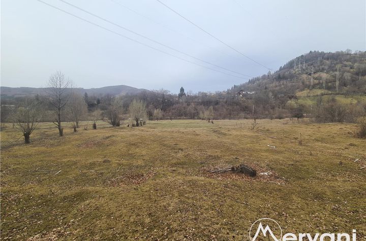 Teren Intravilan de vanzare VALEA DOFTANEI - Prahova anunturi imobiliare Prahova