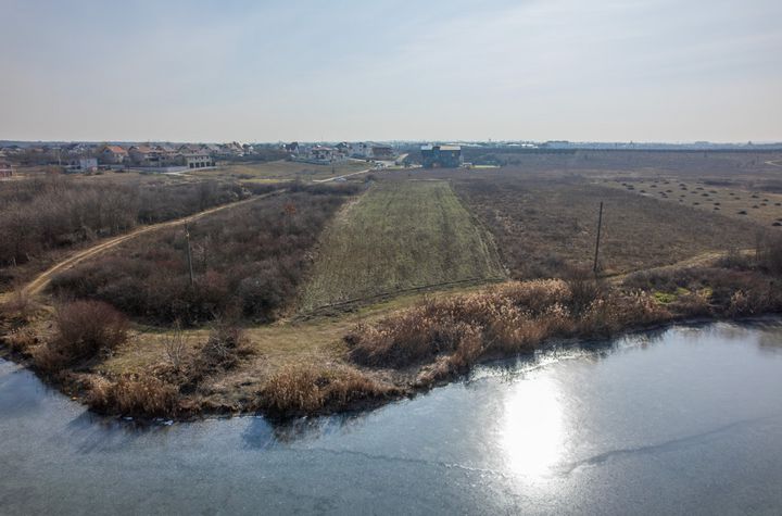 Teren de vanzare MOGOSOAIA - Bucuresti anunturi imobiliare Bucuresti