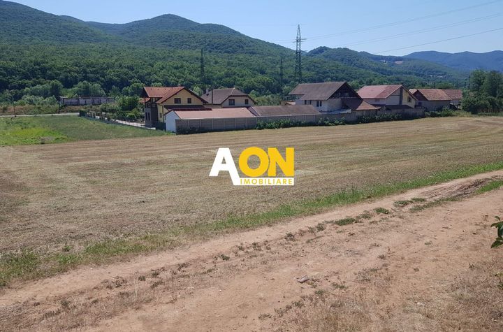 Teren Intravilan de vanzare AMPOITA - Alba anunturi imobiliare Alba