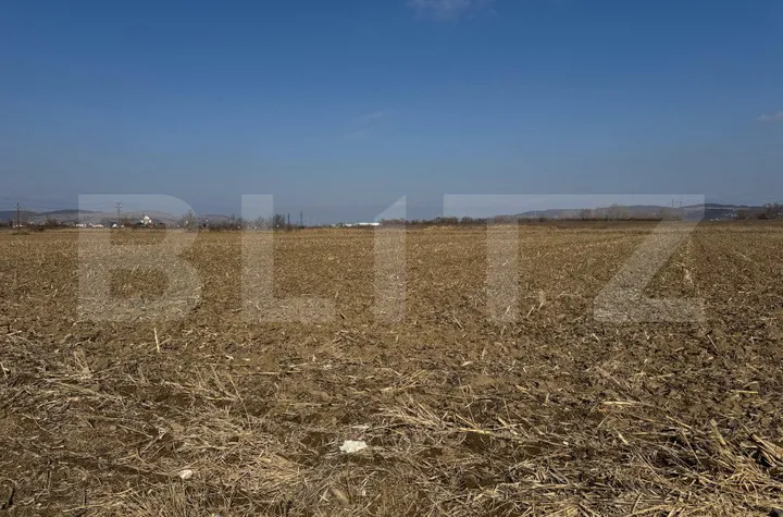 Teren de vanzare ALBA IULIA - Alba anunturi imobiliare Alba