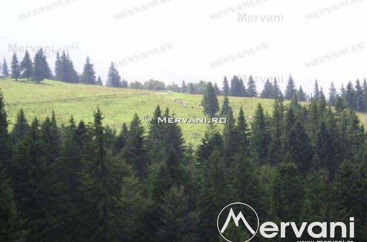 Teren Intravilan de vanzare PREDEAL - Brasov anunturi imobiliare Brasov