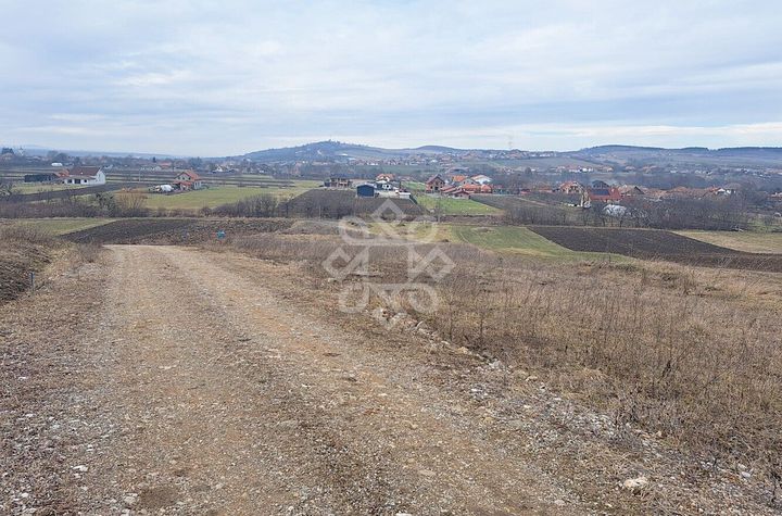 Teren Intravilan de vanzare LUGASU DE JOS - Bihor anunturi imobiliare Bihor