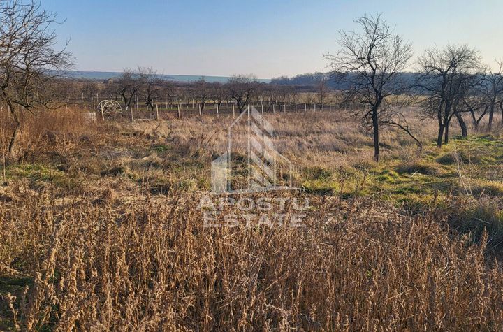 Teren Intravilan de vanzare PISCHIA - Timis anunturi imobiliare Timis