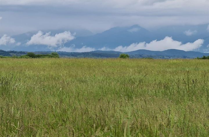 Teren de vanzare CISNADIE - Sibiu anunturi imobiliare Sibiu