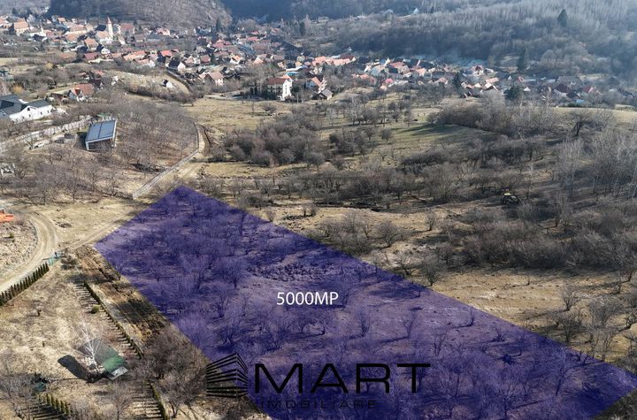 Teren de vanzare CISNADIOARA - Sibiu anunturi imobiliare Sibiu