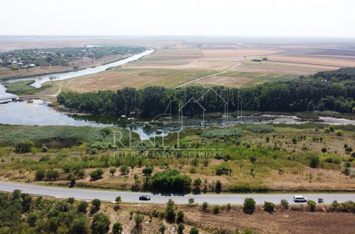 Teren de vanzare NAIPU - Giurgiu anunturi imobiliare Giurgiu