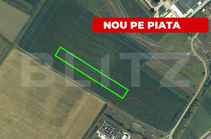 Teren de vanzare ALBA IULIA - Alba anunturi imobiliare Alba